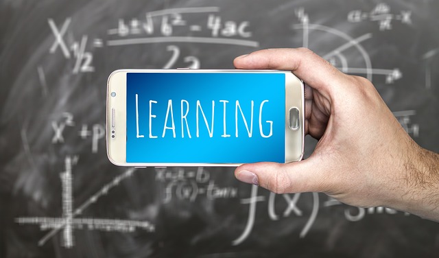 Aufstieg durch Wissen: Studiengänge an Handelshochschulen im Vergleich.